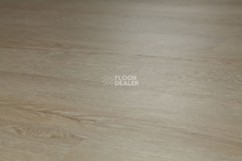 Tarkett Funky House Ricon фото 11 | FLOORDEALER